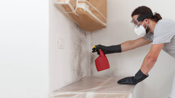Professional Bathroom Mold Removal technician working in Central Islip, NY