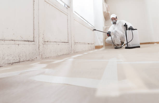 24/7 Emergency Bathroom Mold Removal experts in Central Islip, NY
